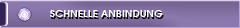 Schnelle Anbindung